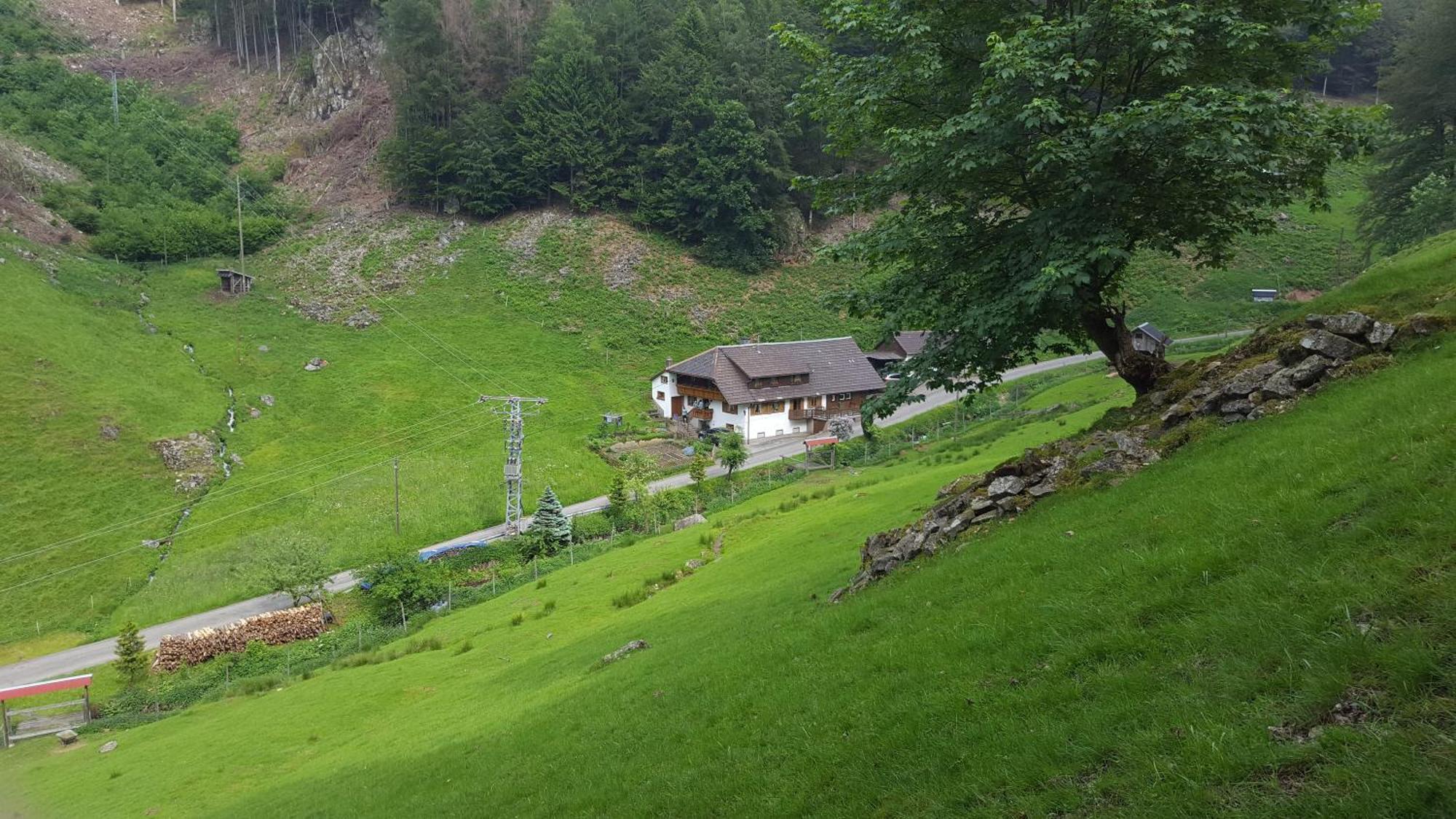 Bauernhaus Im Münstertal Exterior foto