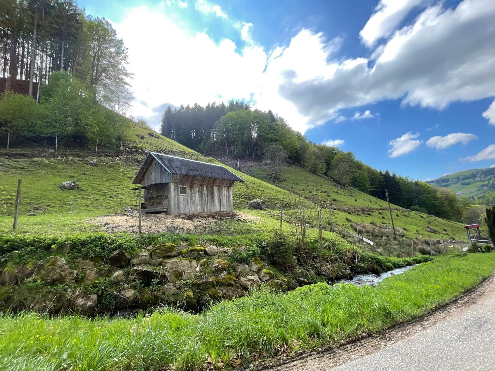 Bauernhaus Im Münstertal Exterior foto