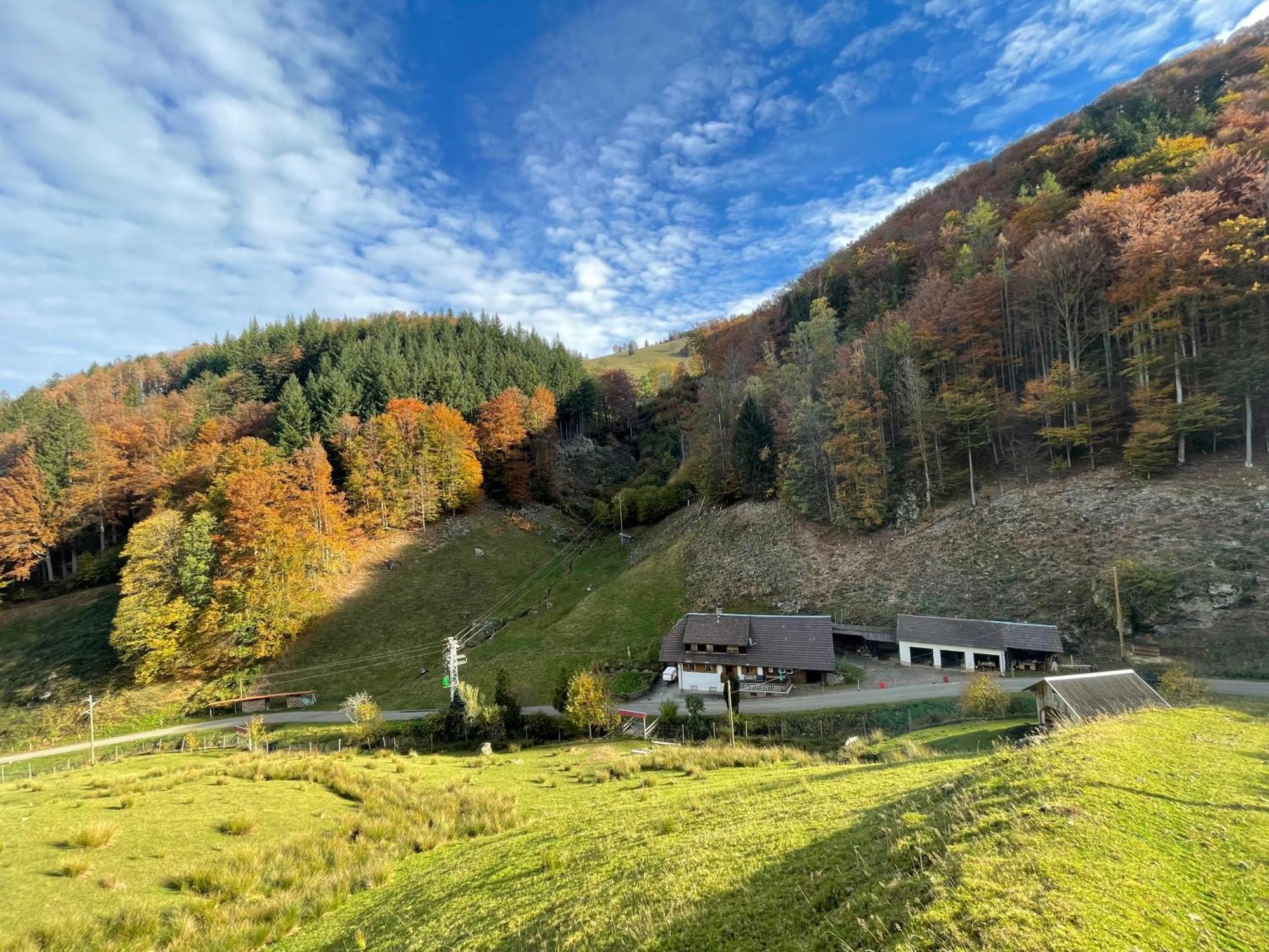 Bauernhaus Im Münstertal Exterior foto